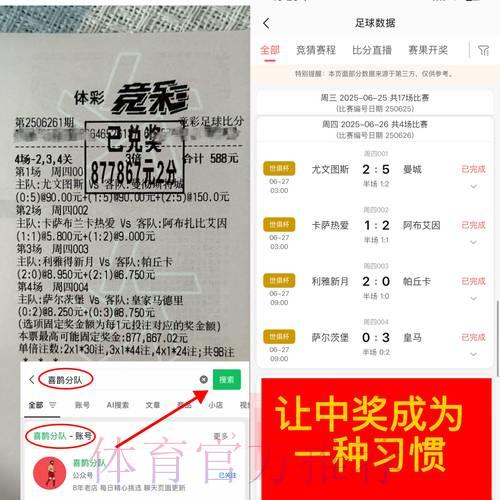 世界杯竞猜平台的潜在风险与收益深度解析 世界杯竞猜平台的潜在风险与收益深度解析